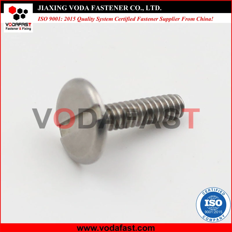 Stainless Steel Machine Screw Self Tapping Screw Self Drilling Screw Socket Screw Wood Screw Set Screws