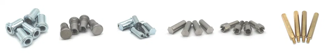 Carbon Steel Stainless Steel Zinc Plated Different Type Rivet Nuts