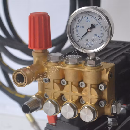 Laveuse électrique à essence haute pression personnalisée pour le nettoyage agricole